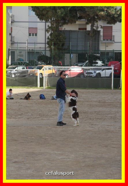 180311 mostra_canina 150.jpg